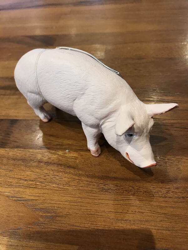 235229 Boar