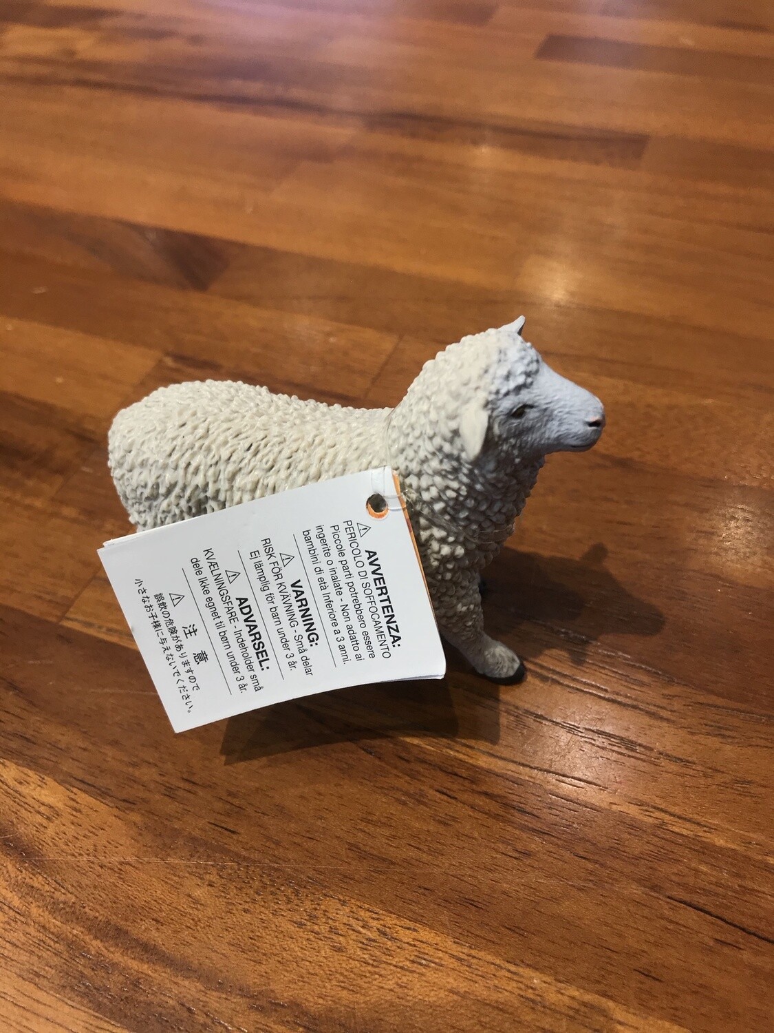 162429 Sheep