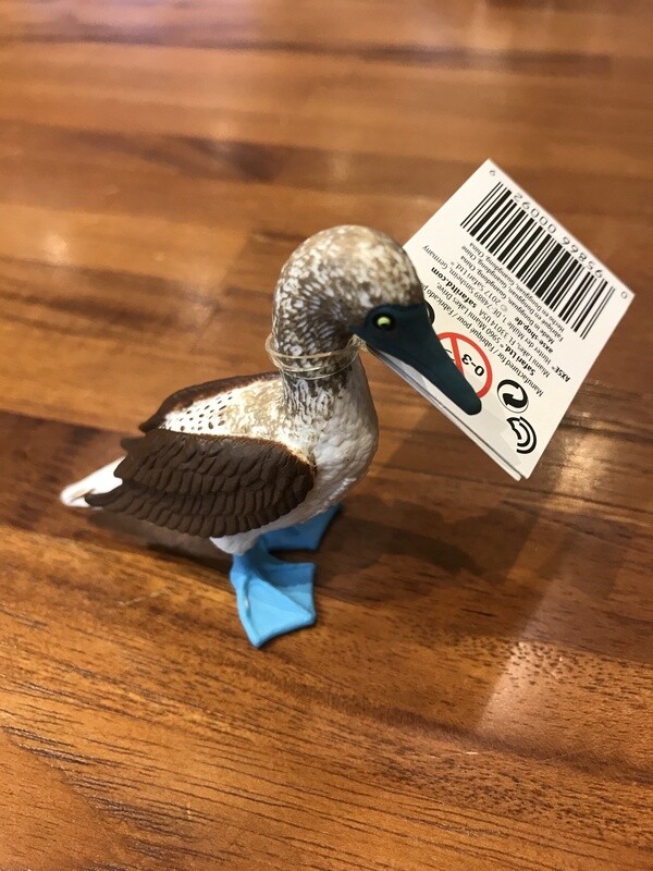 150529 Blue Footed Booby