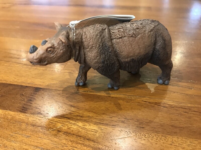 100103 Sumatran Rhino