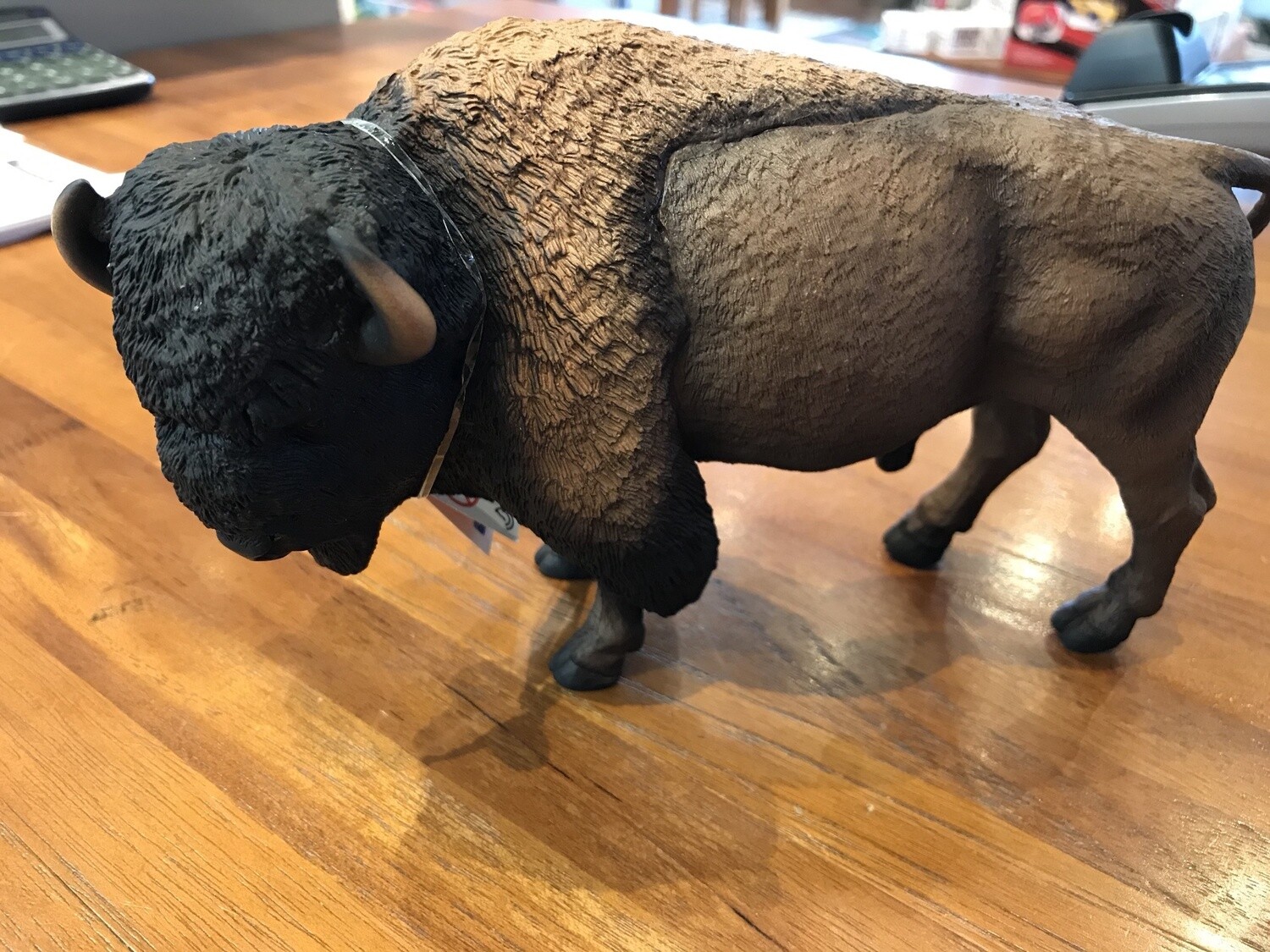100138 Bison
