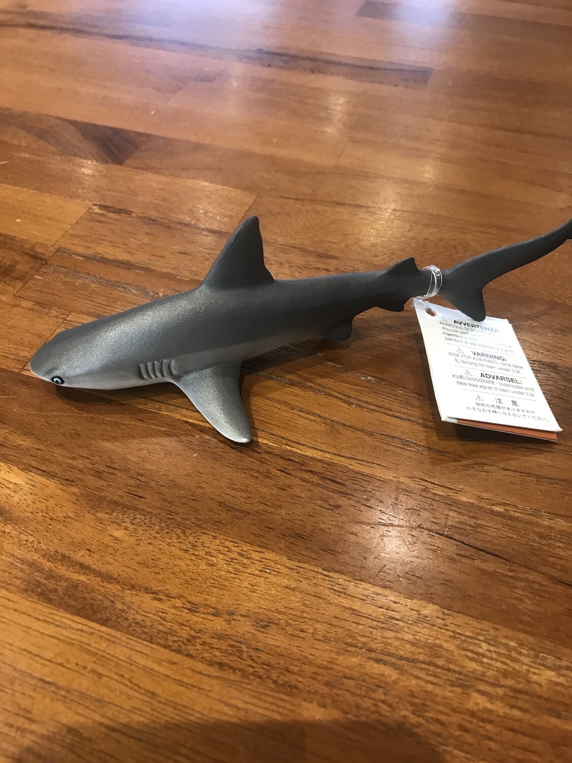 100099 Gray Reef Shark