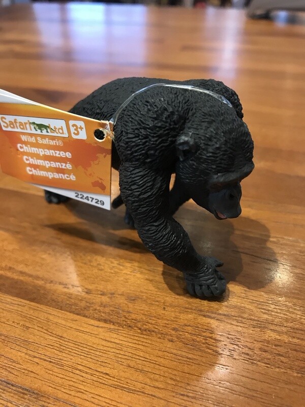 224729 Chimpanzee