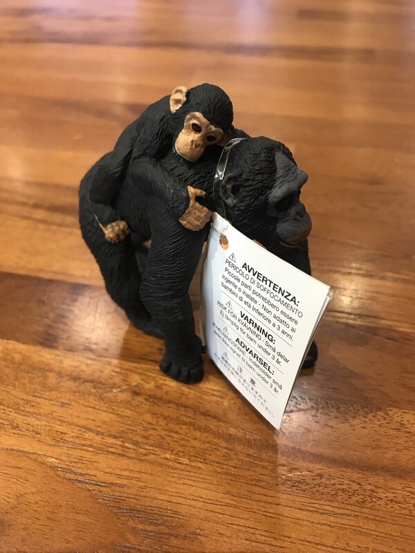 295929 Chimpanzee With Baby