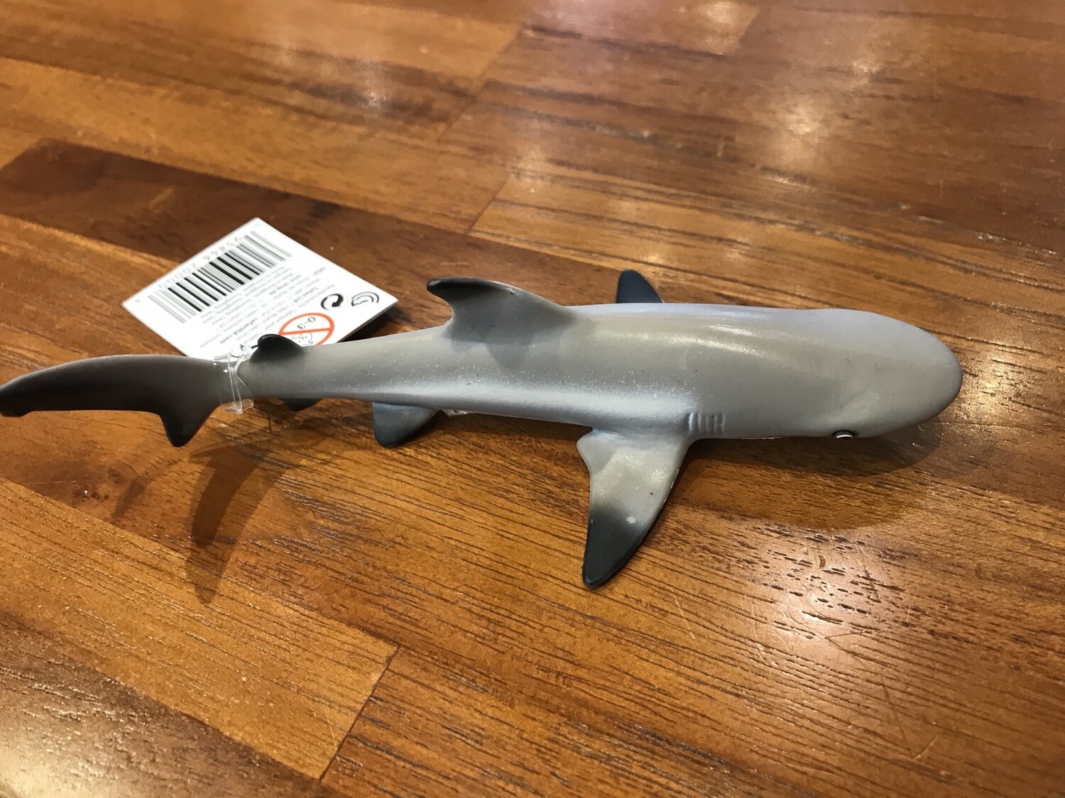 200029 Blacktip Reef Shark