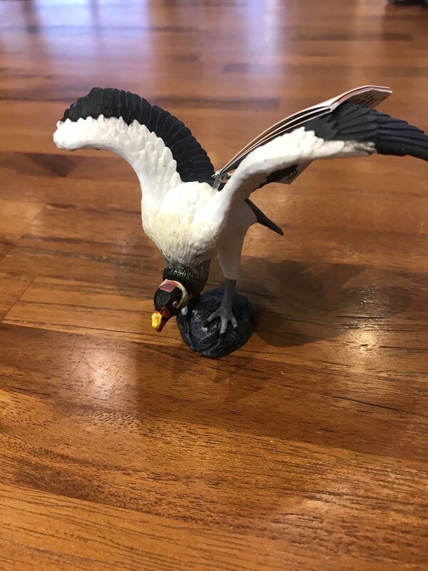 100270 King Vulture
