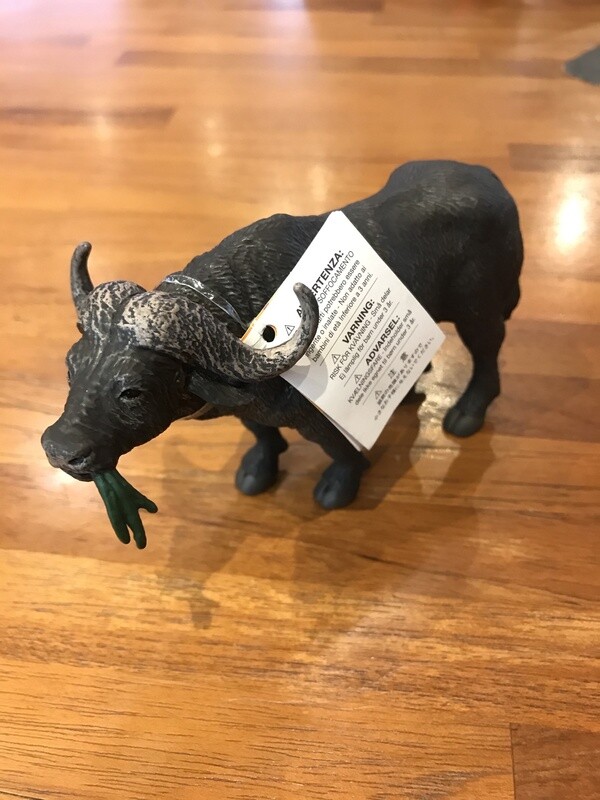222729 Cape Buffalo
