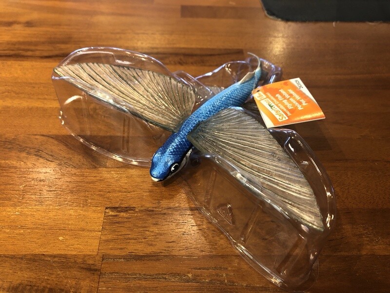 263529 Flying Fish
