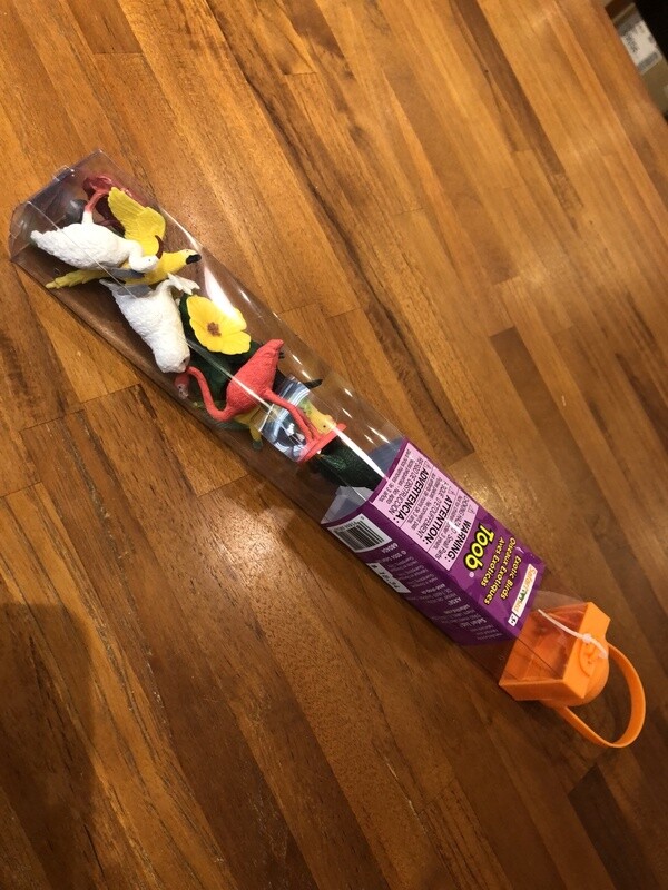 680404 Exotic Birds