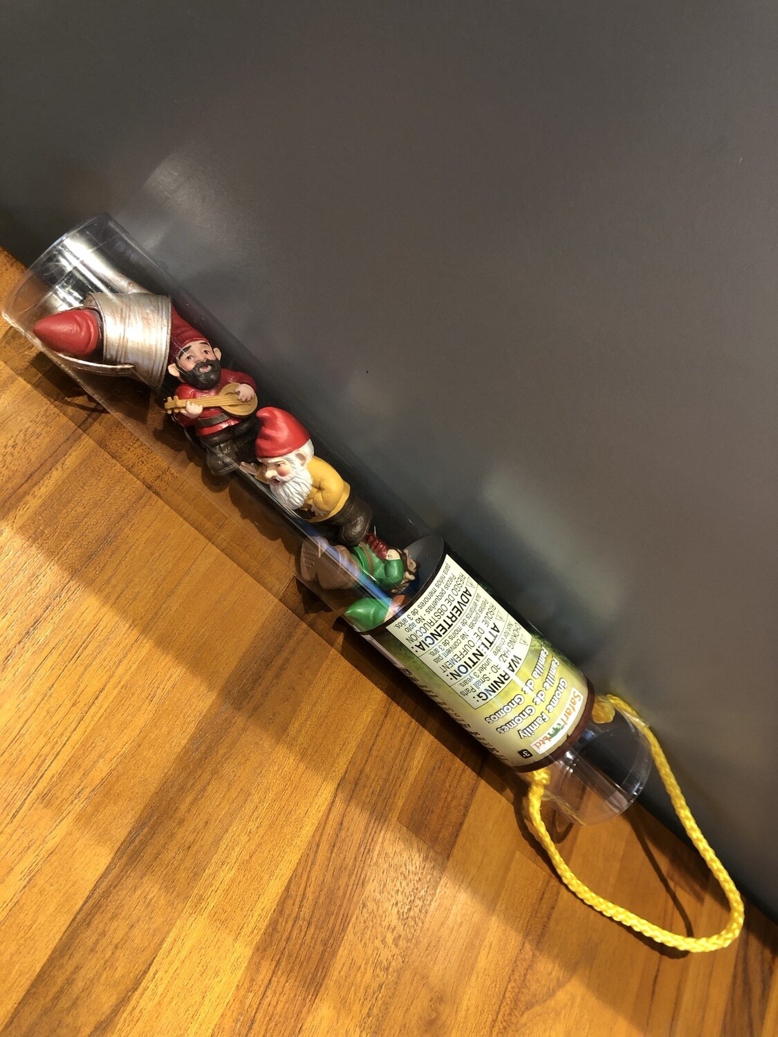 100071 Gnome Family