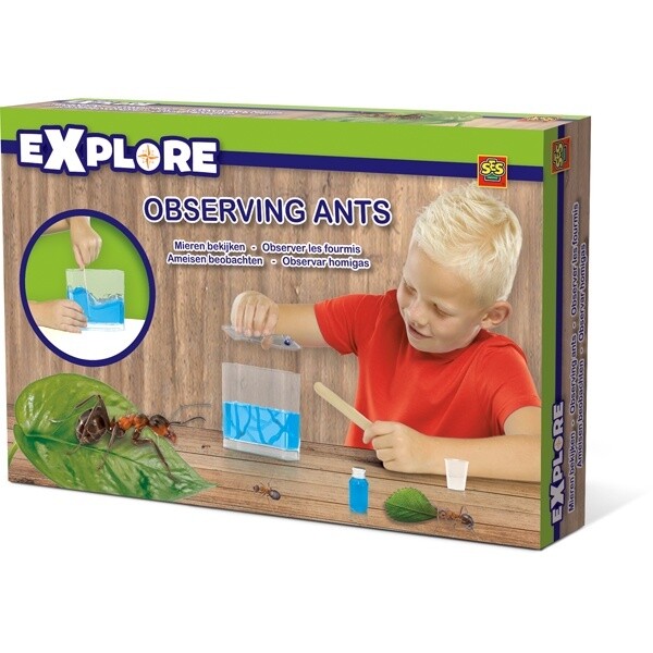 89-25084 Observing ants
