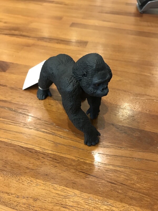 282829 Lowland Gorilla