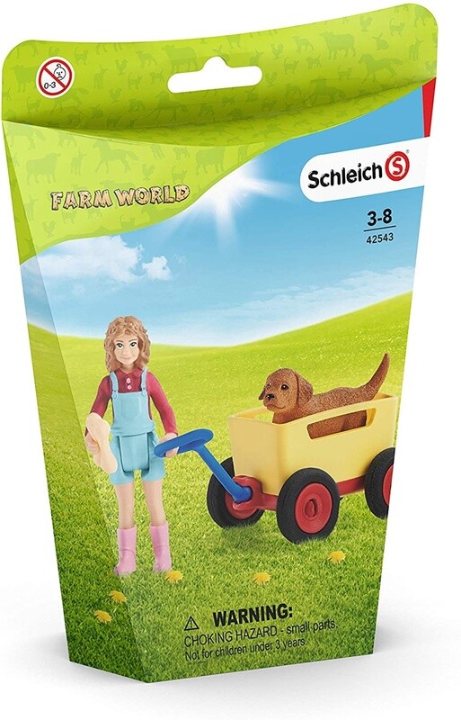42543 Puppy Wagon Ride