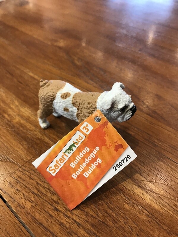 250729 Bulldog