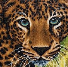 CA-47803 CA Kit (Medium) - Leopard