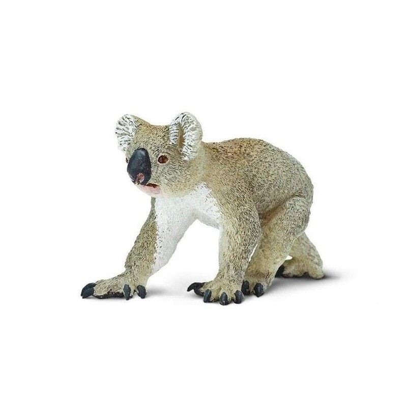 225329 Koala