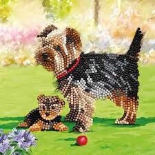 CA-48527 CA Card - Dogs