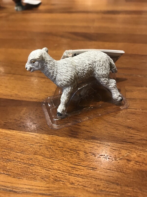 100137 Lamb