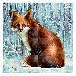 CA-46453 CA Card - Fox
