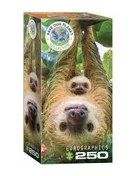 8251-5556 Sloths