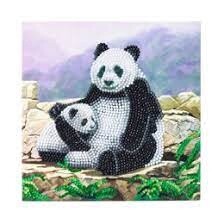 CA-48523 CA Card - Panda