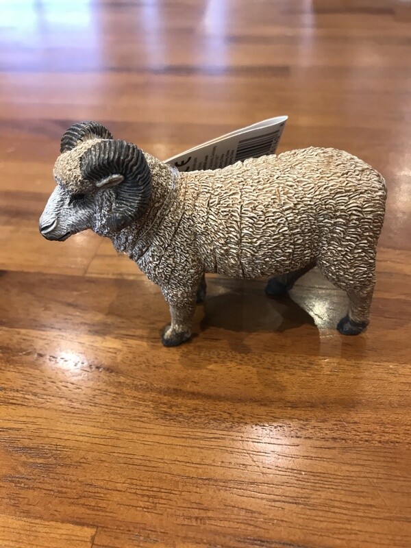 161429 Ram