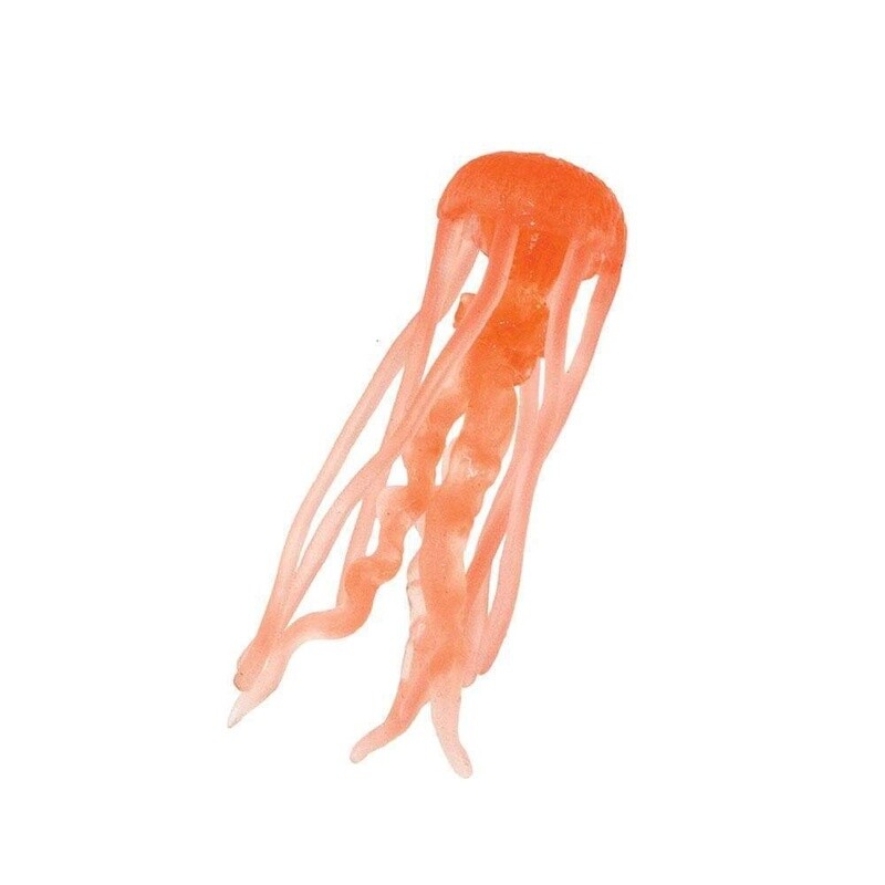 100244 Jellyfish
