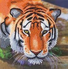 CA-48515 CA Card - Tiger