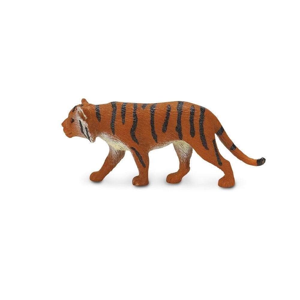 343922 Siberian Tigers