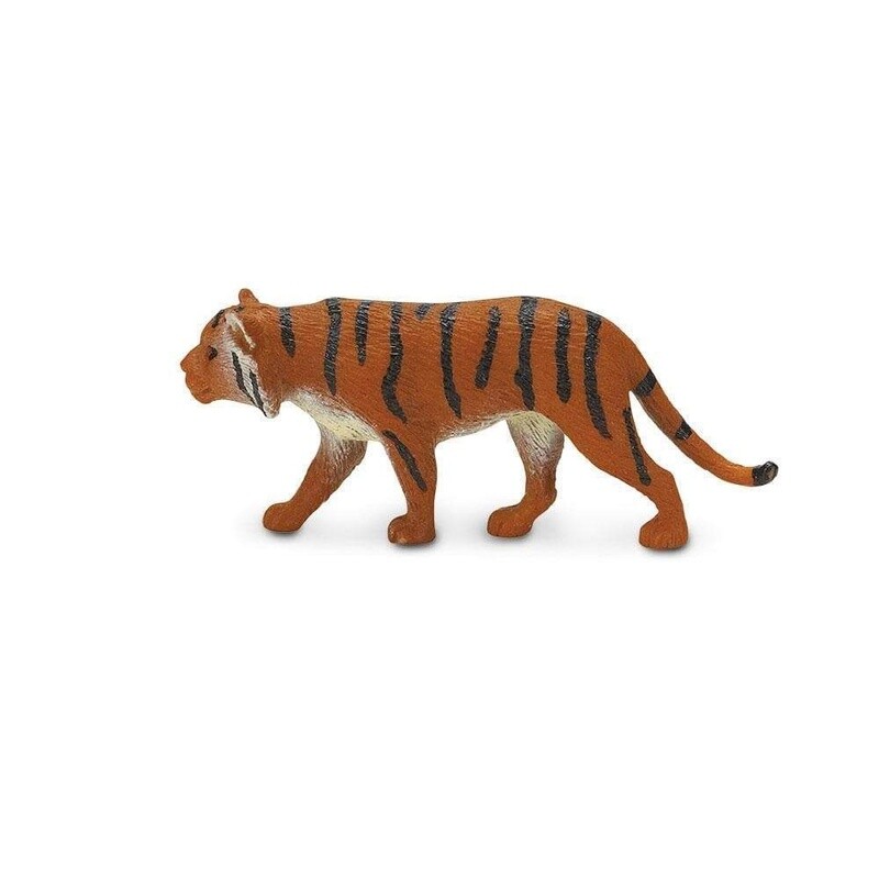 343922 Siberian Tigers