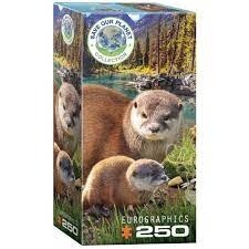 8251-5558 Otters