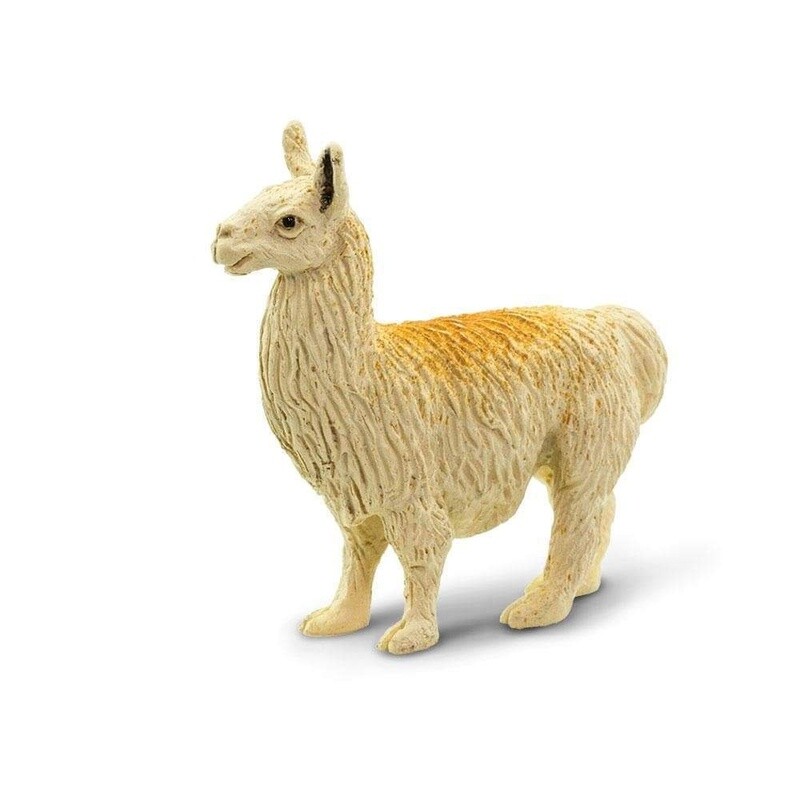 100324 Llamas