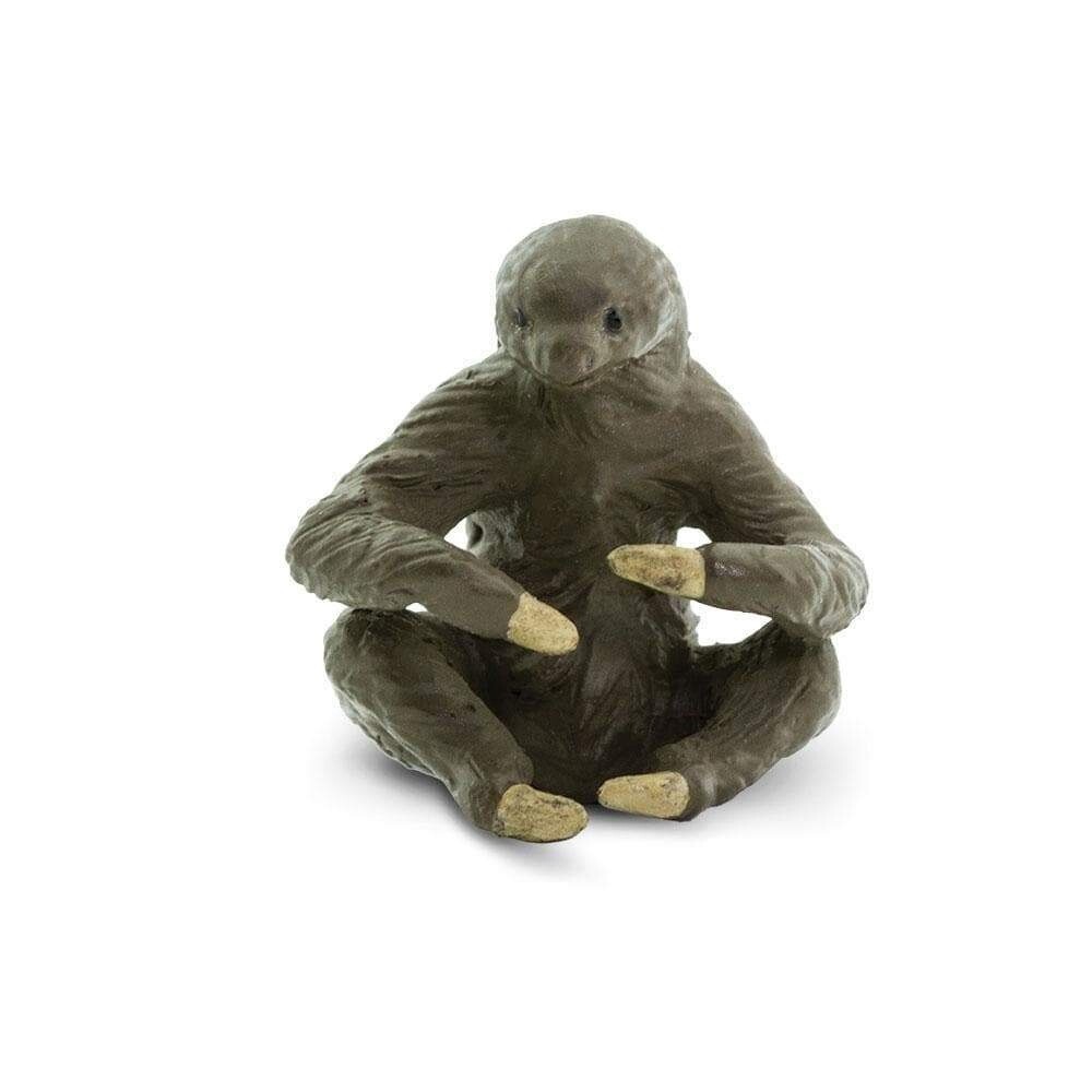 100315 Sloths