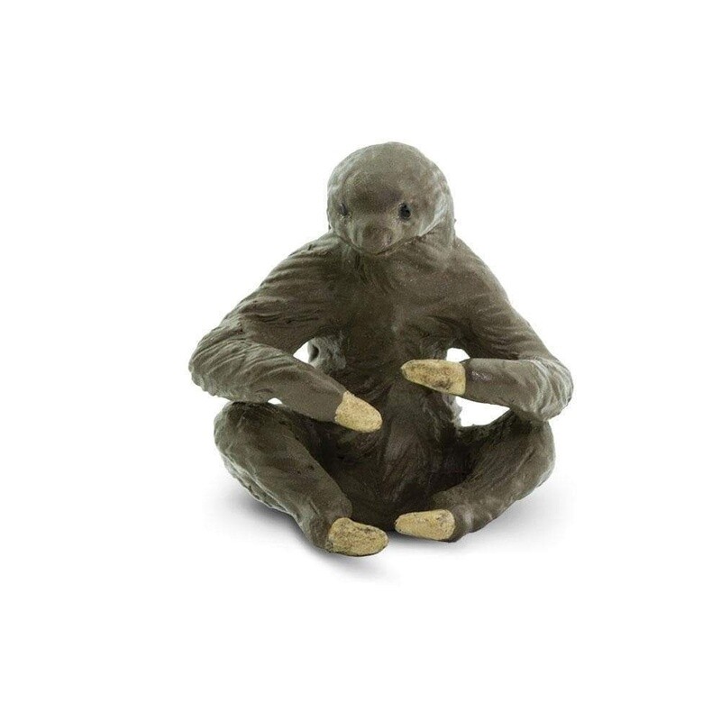 100315 Sloths