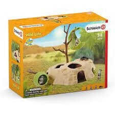 42595 Meerkat Hangout