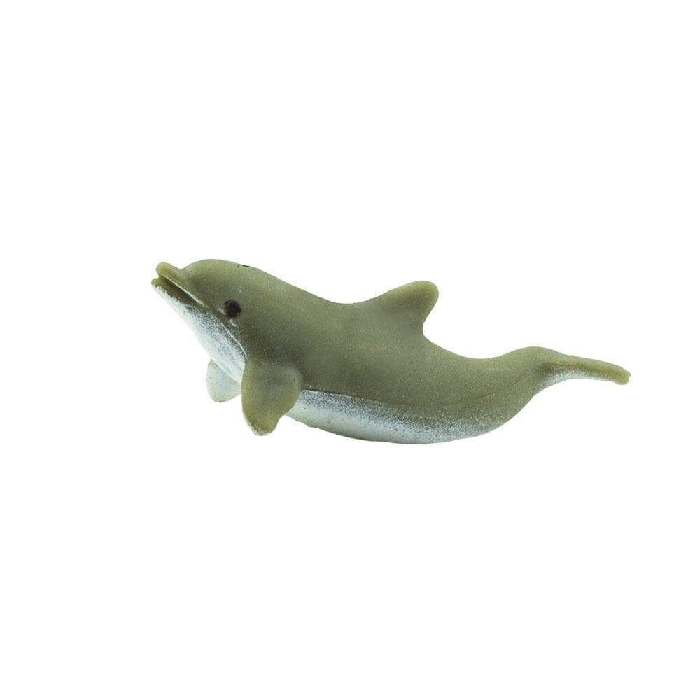 340622 Dolphins