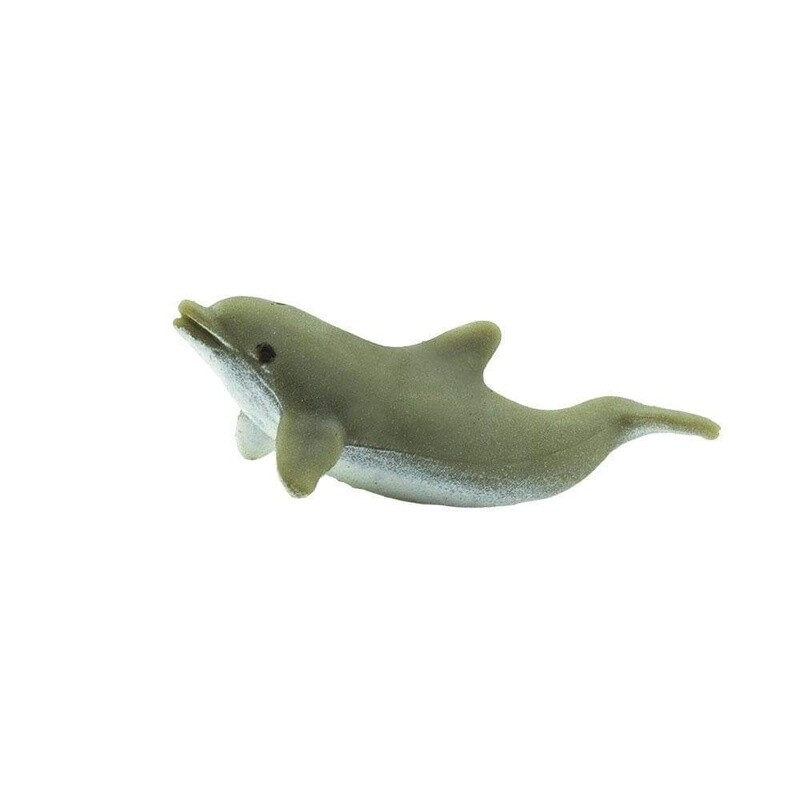 340622 Dolphins