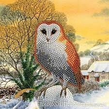 CA-48838 CA Card - Winter Owl