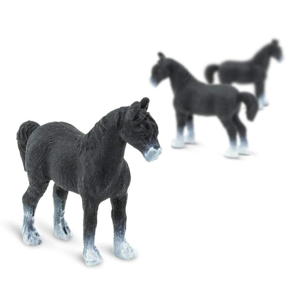 100171 Horses