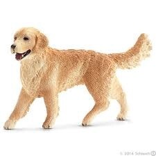 16395 Golden Retriever, female