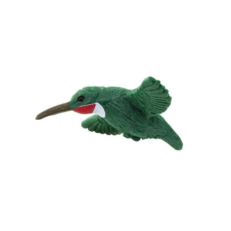 100229 Hummingbirds