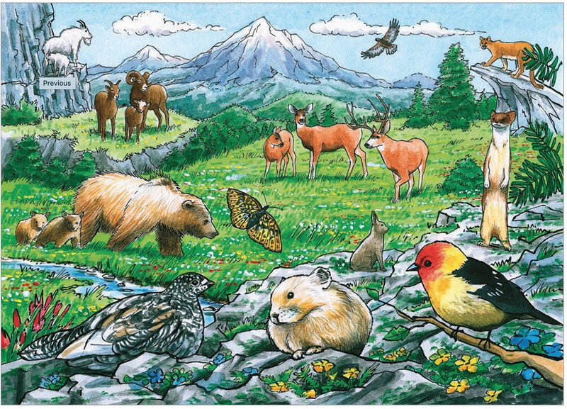 58806 Rocky Mountain Wildlife (tray)