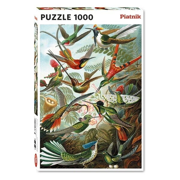 80-05528 1000pc, Haeckel, Hummingbirds