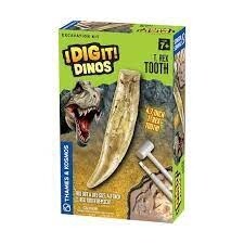 630492 I DIG IT! DINOS - T. REX TOOTH EXCAVATION KIT