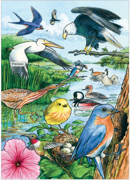 58809 North American Birds (tray)