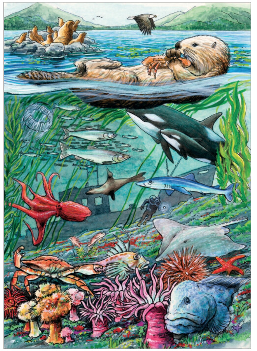 58803 Life on the Pacific Ocean (tray)