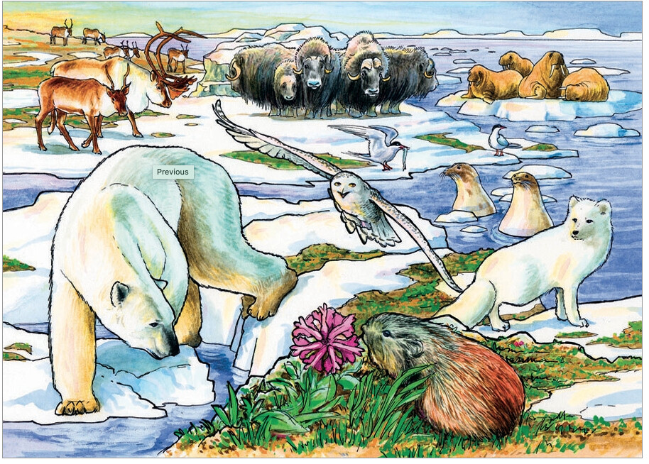 58807 Arctic Adventure (tray)