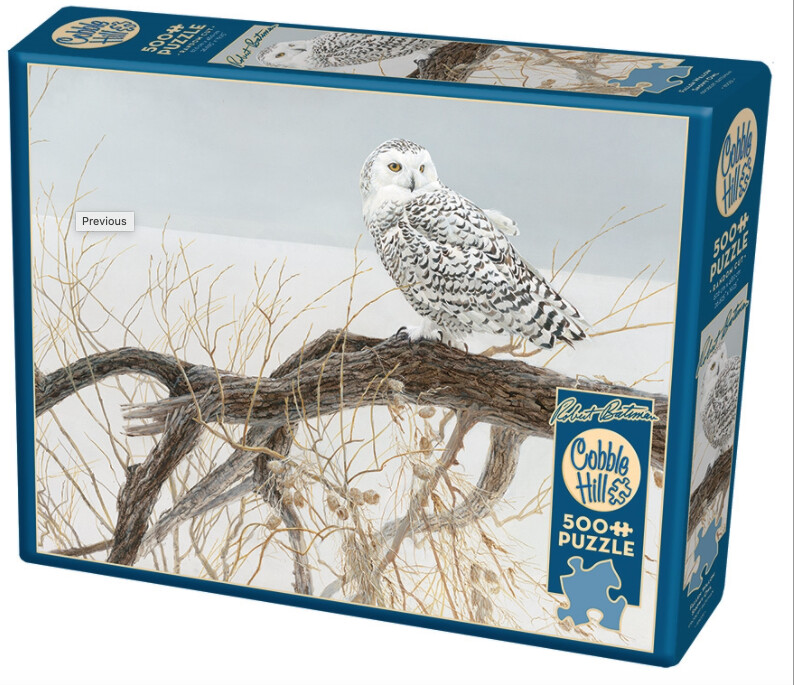 85031 Fallen Willow Snowy Owl