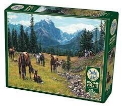 80113 Horse Meadow