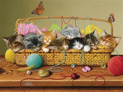 54615 Basket Case (Family)